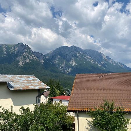Vila Maris Buşteni エクステリア 写真