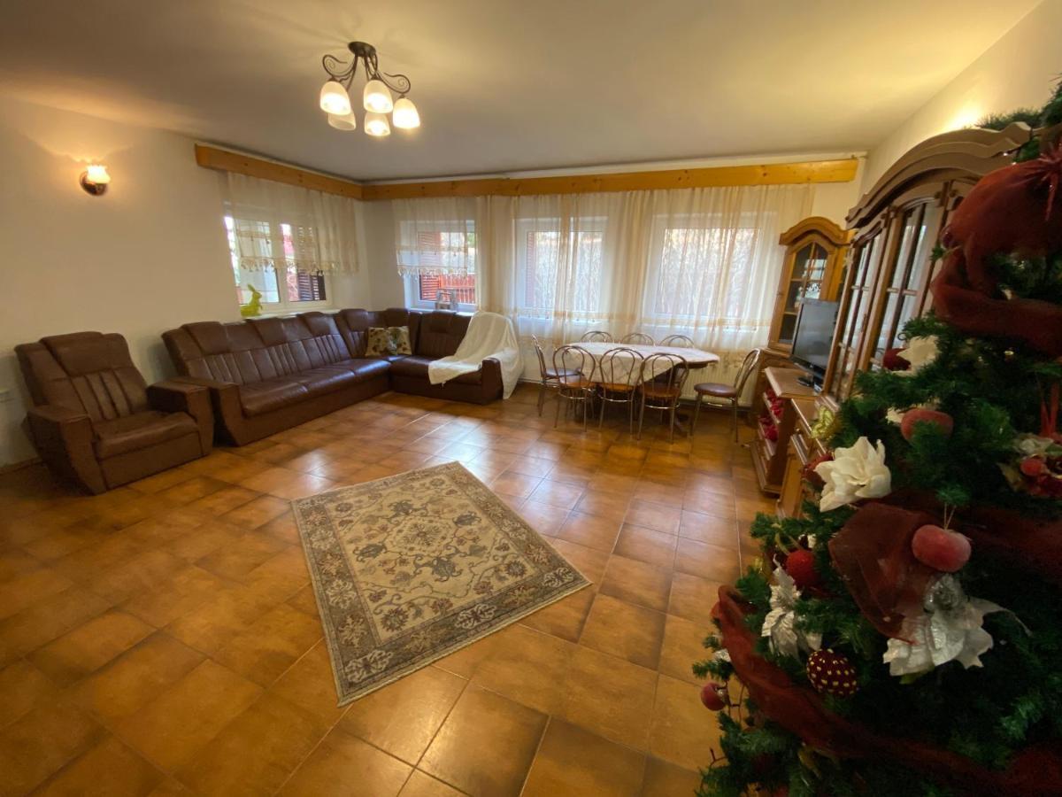 Vila Maris Buşteni エクステリア 写真