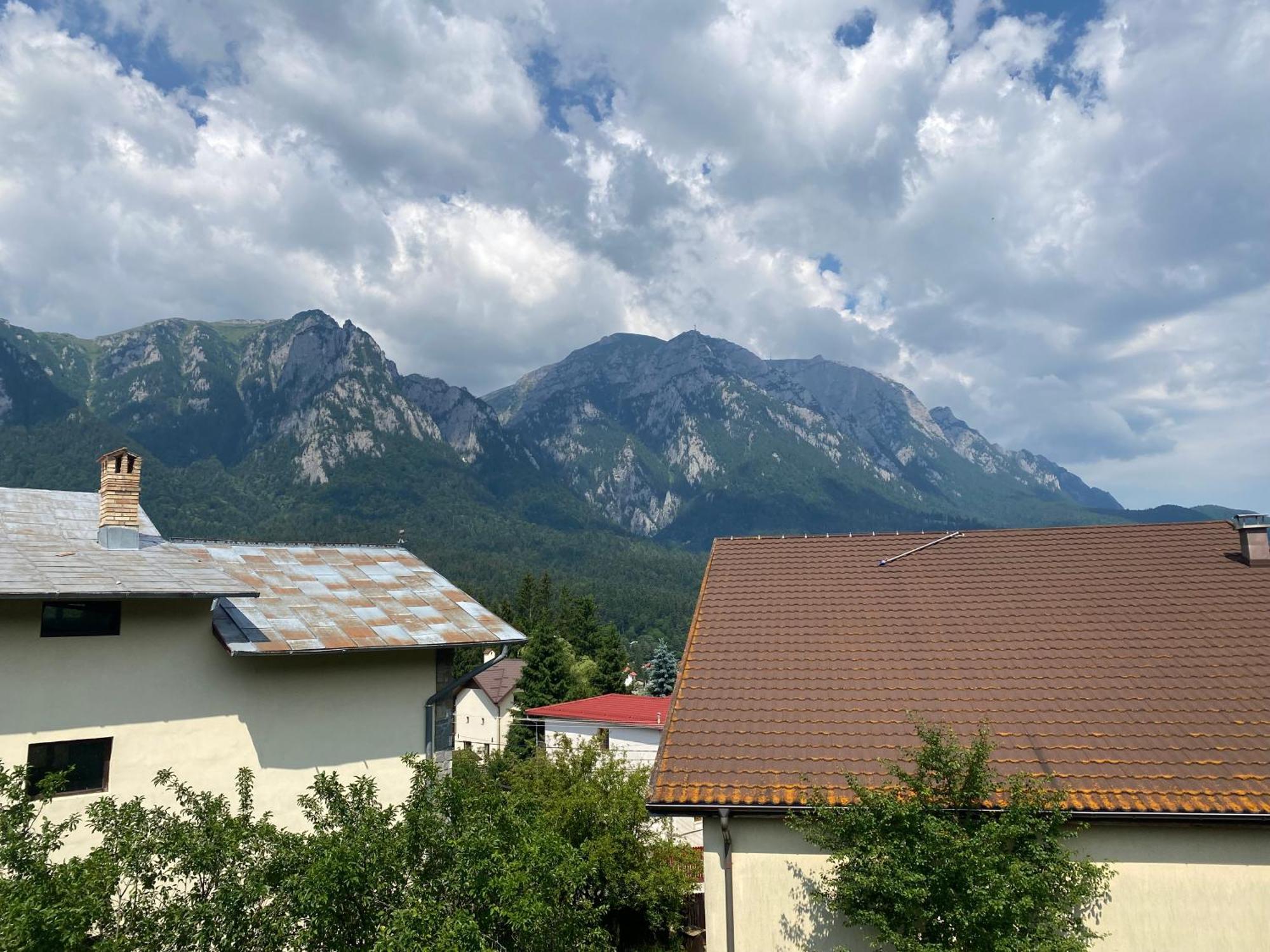 Vila Maris Buşteni エクステリア 写真