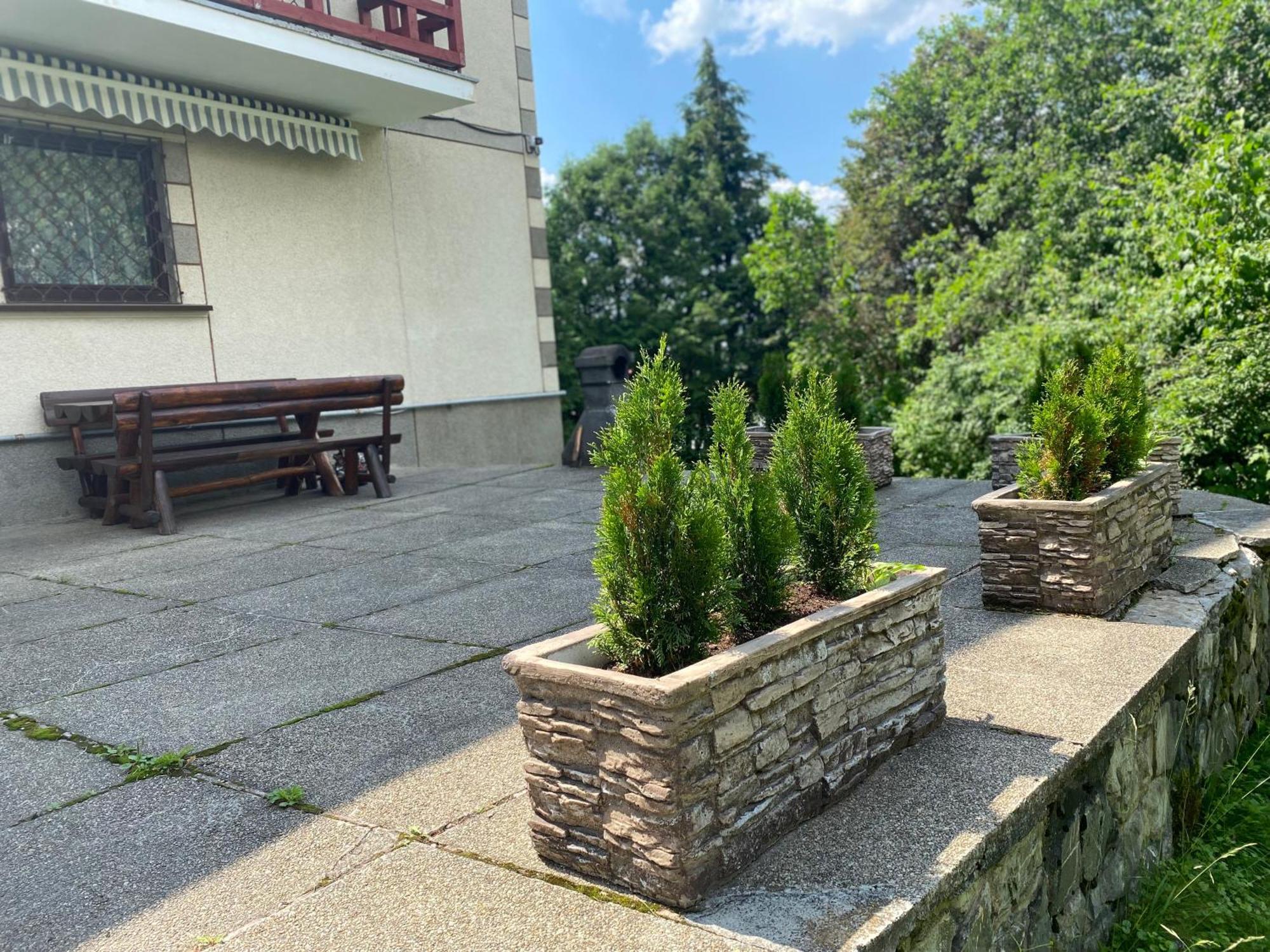 Vila Maris Buşteni エクステリア 写真